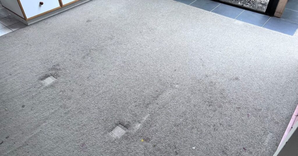 Deep carpet cleaning removing dirt and allergens in Christchurch home